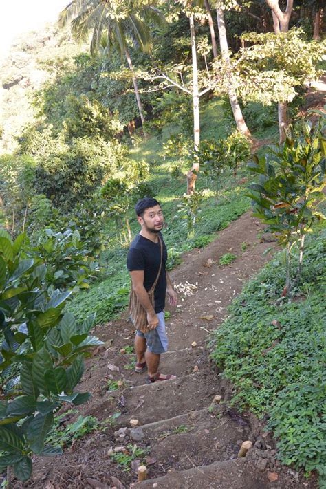 hinitan plantation|Passion for coffee led a UK national to start a .